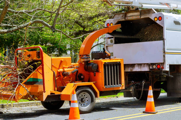 Best Tree Health Inspection  in Atwood, TN