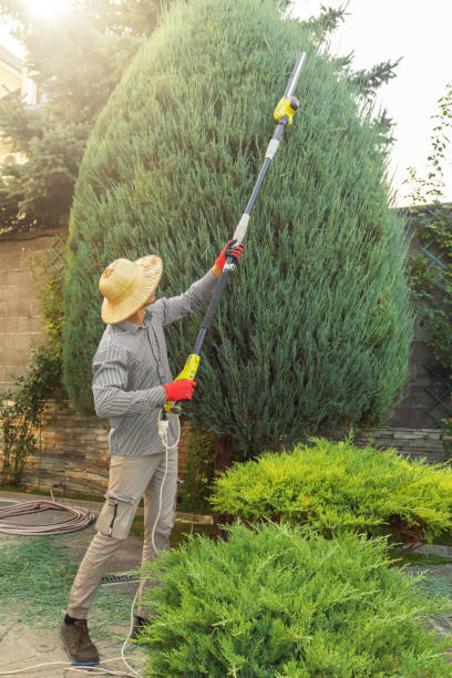 Best Tree Health Inspection  in Atwood, TN